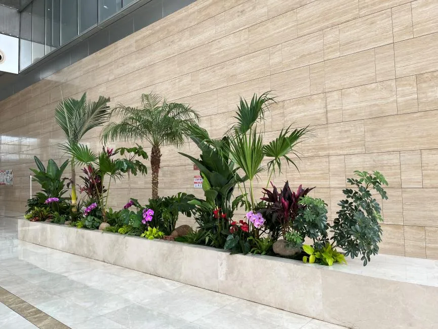 探秘宁波余姚绿化修剪，如何让城市更添绿韵？